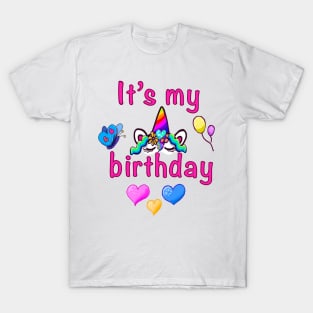 Its my birthday T-Shirt